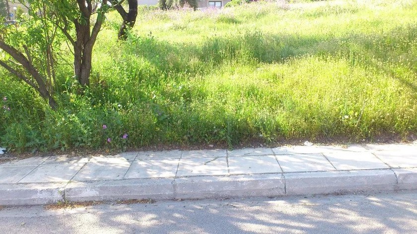 Οικόπεδο 2.950τ.μ. για πώληση-Λυκόβρυση » Αγία βαρβάρα λυκοβρύσεως