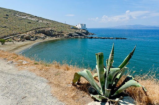 Αγροτεμάχια 23.500 τ.μ. για πώληση