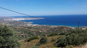 Οικόπεδο 4.700 τ.μ. για πώληση