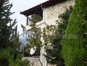 Loft 250 τ.μ. για πώληση, Φωκίδα, Παρνασσός-thumb-1