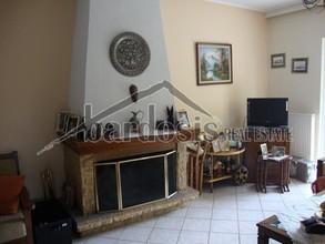 Loft 250 τ.μ. για πώληση, Φωκίδα, Παρνασσός-thumb-18