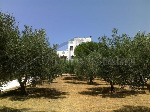 Loft 200τ.μ. για πώληση-Ανάβυσσος » Ανάβυσσος κέντρο