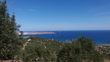 Land plot 4.290sqm for sale-Siteia » Agia Fotia