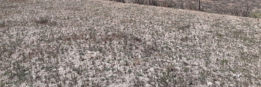 Land plot 4.012 sqm for sale
