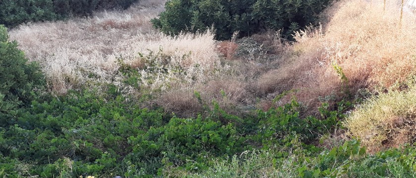 Land plot 537 sqm for sale
