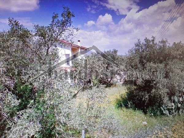 Άλλο 575 τ.μ. για πώληση
