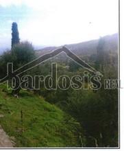 Άλλο 1.300 τ.μ. για πώληση