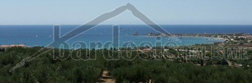 Άλλο 11.000τ.μ. για πώληση-Μεθώνη
