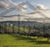 Άλλο 1.500 τ.μ. για πώληση