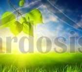 Άλλο 400 τ.μ. για πώληση