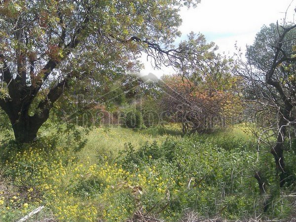 Άλλο 1.400 τ.μ. για πώληση