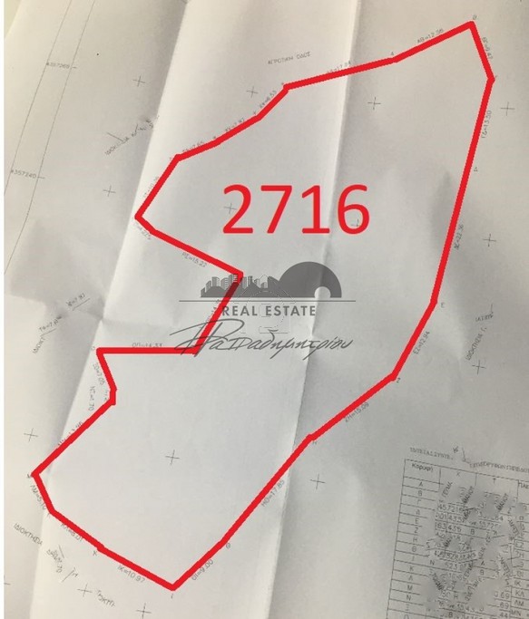 Land plot 2.716sqm for sale-Mouresi » Xorichti