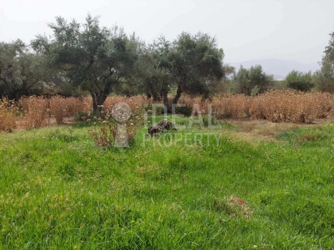Land plot 2.000 sqm for sale, Achaia, Fares