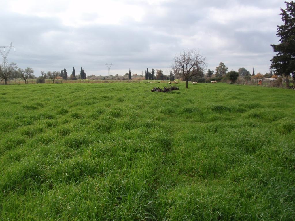 Οικόπεδο 4.778 τ.μ. για πώληση, Αχαΐα, Λάρισσος
