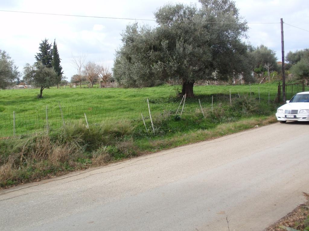 Οικόπεδο 4.778 τ.μ. προς πώληση, Αχαΐα, Λάρισσος