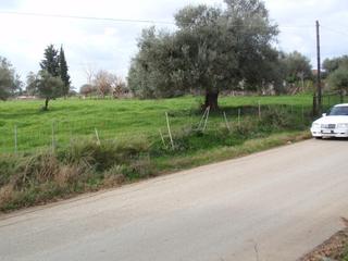 Οικόπεδο 4.778 τ.μ. για πώληση, Αχαΐα, Λάρισσος-thumb-4