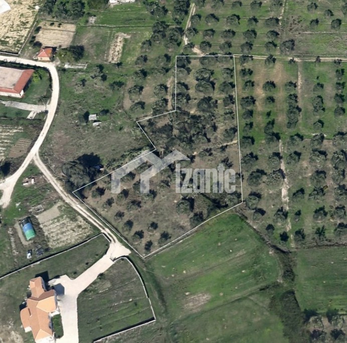 Land plot 4.000 sqm for sale, Zante, Artemisio