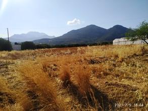 Αγροτεμάχια 4.000 τ.μ. για πώληση
