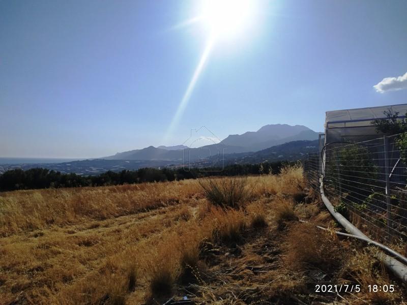 Αγροτεμάχια 4.000 τ.μ. πρός πώληση, Ν. Λασιθίου, Σητεία