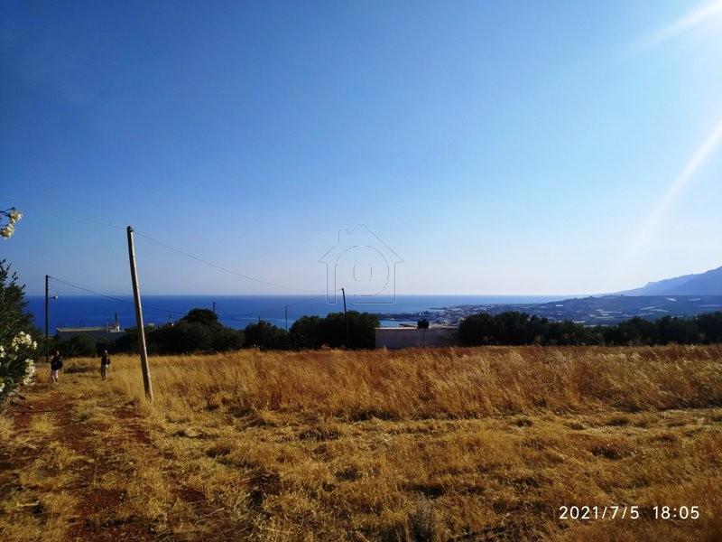 Αγροτεμάχια 4.000 τ.μ. πρός πώληση, Ν. Λασιθίου, Σητεία