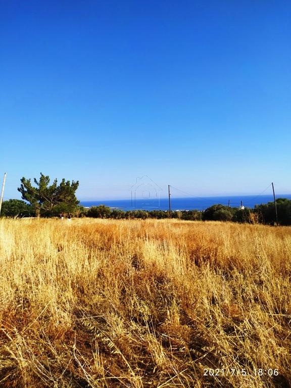 Αγροτεμάχια 4.000 τ.μ. πρός πώληση, Ν. Λασιθίου, Σητεία