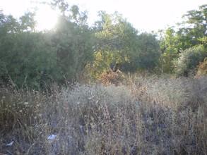 Οικόπεδο 1.600 τ.μ. για ενοικίαση, Ημαθία, Βέροια-thumb-1