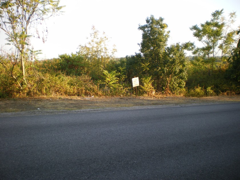 Οικόπεδο 1.600 τ.μ. για ενοικίαση