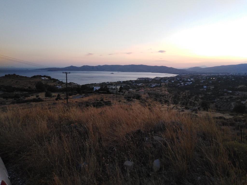 Αγροτεμάχια 4.500 τ.μ. προς πώληση, Αετός Καρύστου