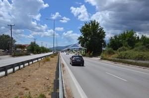 Αγροτεμάχια 13.000 τ.μ. για ενοικίαση, Ν. Ιωαννίνων, Ιωάννινα-thumb-2