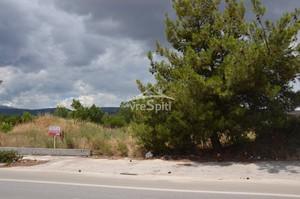 Αγροτεμάχια 13.000 τ.μ. για ενοικίαση, Ν. Ιωαννίνων, Ιωάννινα-thumb-3