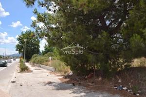 Αγροτεμάχια 13.000 τ.μ. για ενοικίαση, Ν. Ιωαννίνων, Ιωάννινα-thumb-5