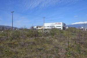 Αγροτεμάχια 13.000 τ.μ. για ενοικίαση, Ν. Ιωαννίνων, Ιωάννινα-thumb-10