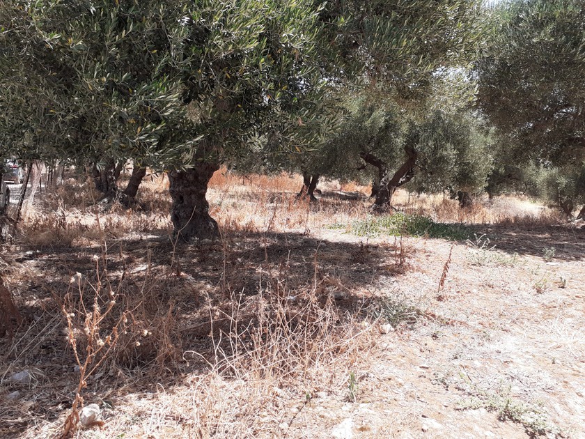 Land plot 610sqm for sale-Heraclion Cretes