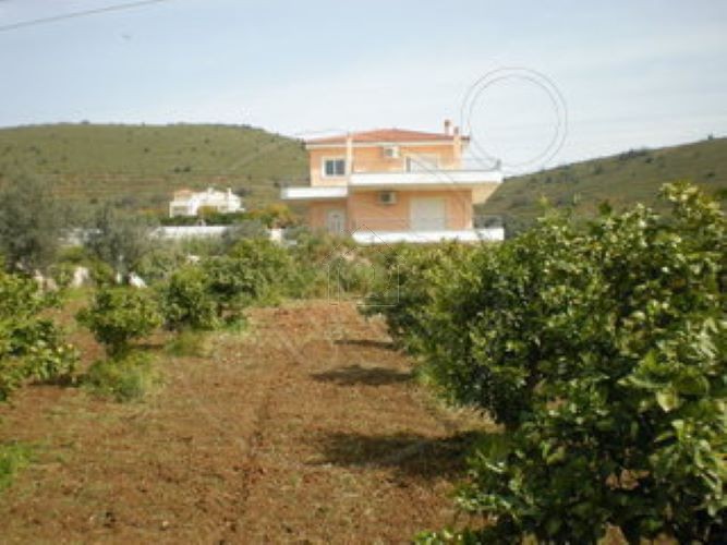 Βίλλα 320 τ.μ. για πώληση