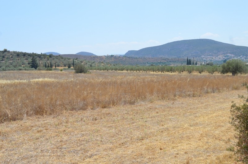 Αγροτεμάχια 4.080τ.μ. για πώληση-Ναύπλιο » Παληοχώρα