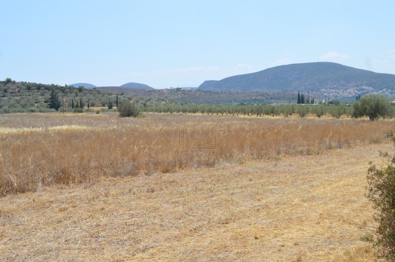 Αγροτεμάχια 4.080 τ.μ. για πώληση, Αργολίδα, Ναύπλιο