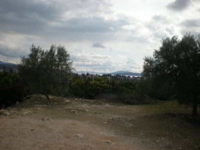 Οικόπεδο 5.300 τ.μ. για πώληση