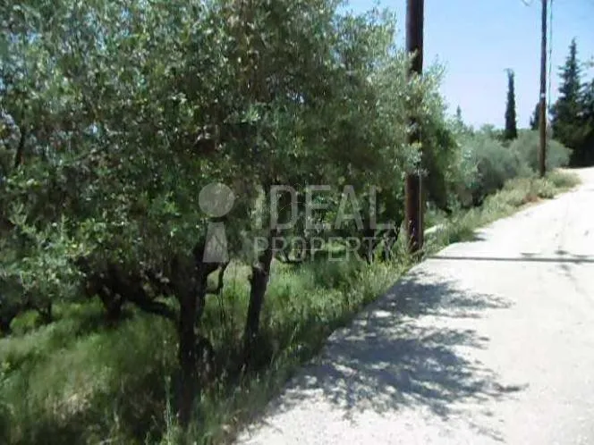 Land plot 3.500 sqm for sale, Achaia, Patra