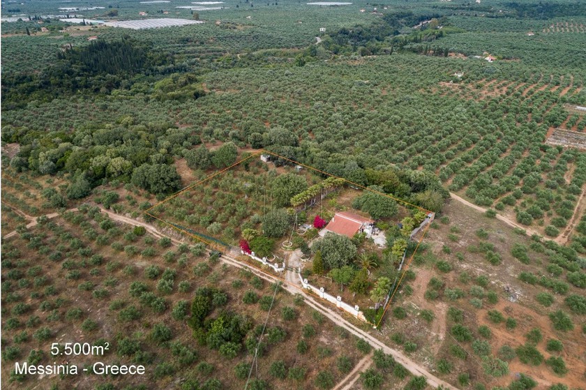 Οικόπεδο 5.600τ.μ. για πώληση-Γαργαλιάνοι » Λαγκουβάρδος