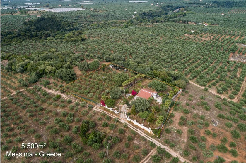 Οικόπεδο 5.600 τ.μ. για πώληση, Μεσσηνία, Γαργαλιάνοι