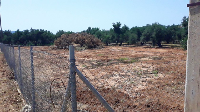 Οικόπεδο 4.603τ.μ. για πώληση-Γαργαλιάνοι » Χοχλαστή