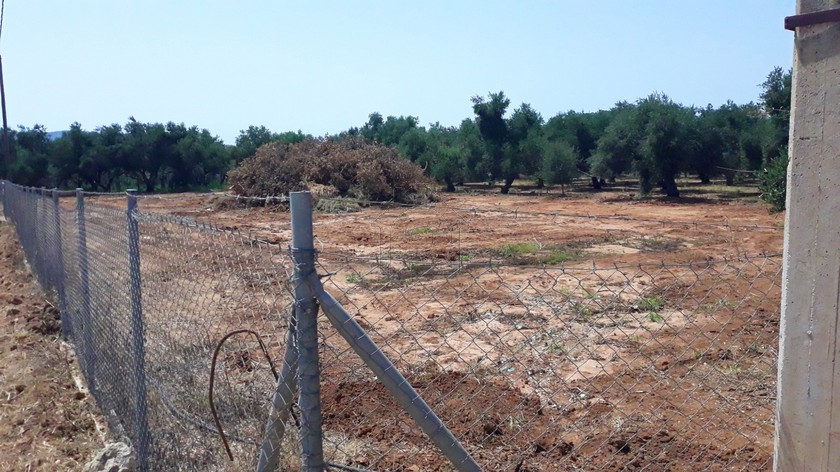 Land plot 4.603 sqm for sale, Messinia, Gargalianoi