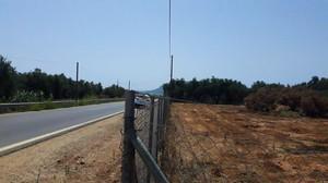 Οικόπεδο 4.603 τ.μ. για πώληση, Μεσσηνία, Γαργαλιάνοι-thumb-1