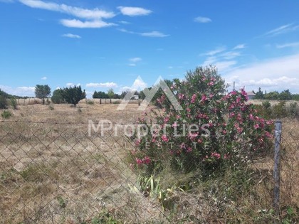 Land plot 2.187sqm for sale-Thermaikos » Agia Triada