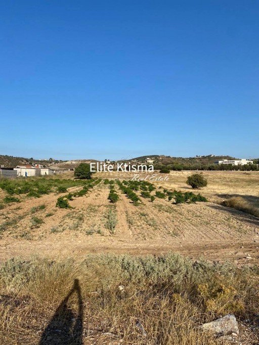 Αγροτεμάχια 3.100τ.μ. για πώληση-Κερατέα » Ρουντζέρι λεμπρού