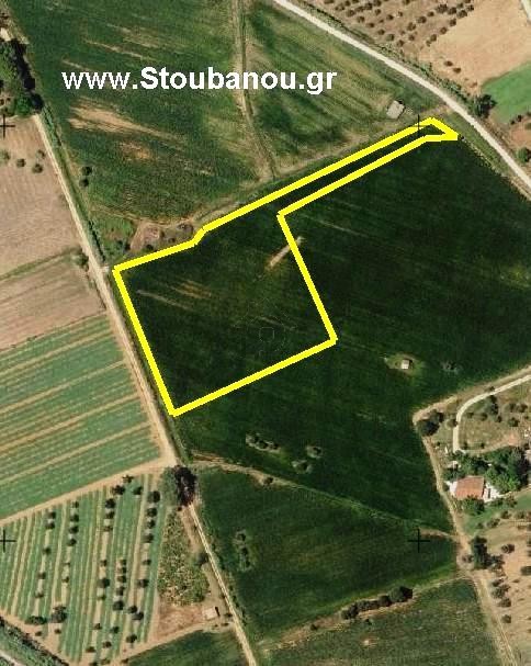 Parcel 10.326sqm for sale-Amaliada » Panagia
