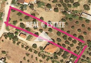 Οικόπεδο 1.897τ.μ. για πώληση-Παλλήνη » Νέα σκιώνη