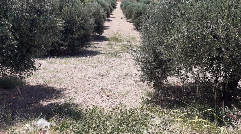Οικόπεδο 2.104 τ.μ. για πώληση