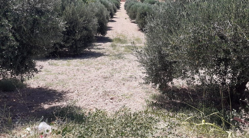 Land plot 2.104 sqm for sale, Heraklion Prefecture, Heraclion Cretes