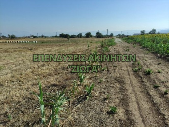 Parcel 5.000sqm for sale-Karla » Rizomilos
